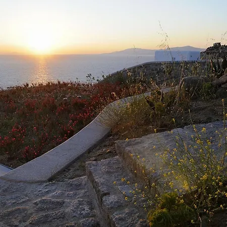 Bluebird Seabird Mykonos Town