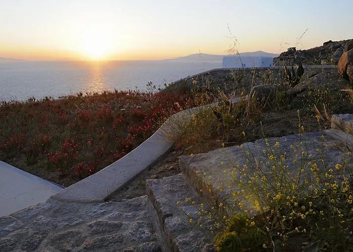 Bluebird Seabird Mykonos Town