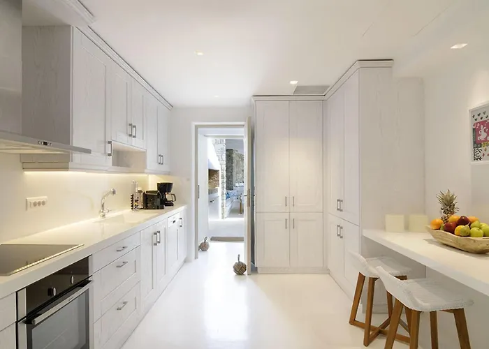 Bluebird Seabird Villa Mykonos Town